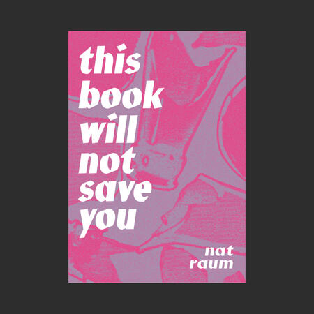 this book will not save you by. nat raum