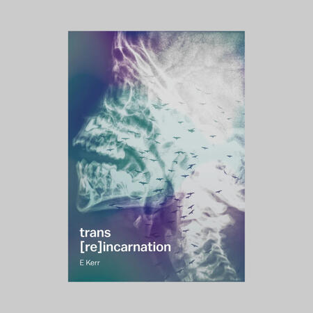 trans [re]incarnation by E Kerr